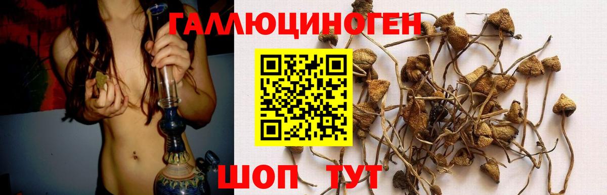Галлюциногенные грибы ЛСД Избербаш