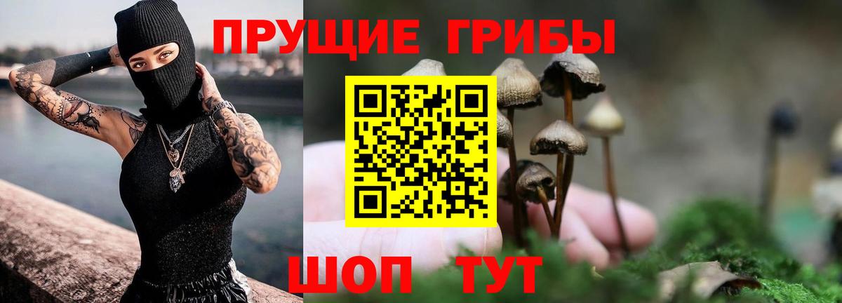 Галлюциногенные грибы Magic Shrooms  Вход с VPN  Псилоцибиновые грибы Cubensis  Избербаш 